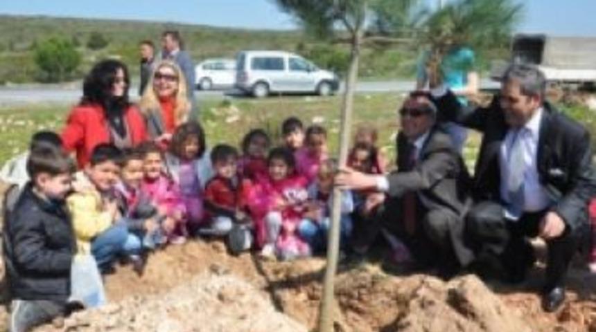 Didim Belediyesi'nde ağaçlandırma çalışmaları
