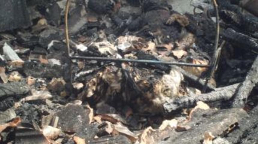 İki kardeş yanarak can verdi