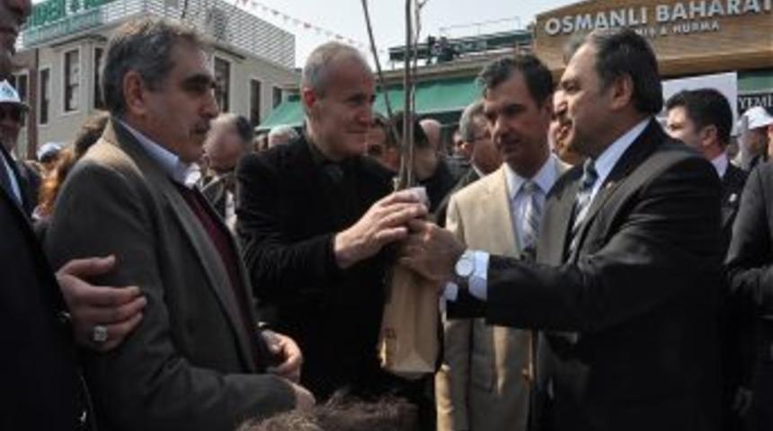 Ey&uuml;p Sultan Erguvanlarla donatılıyor