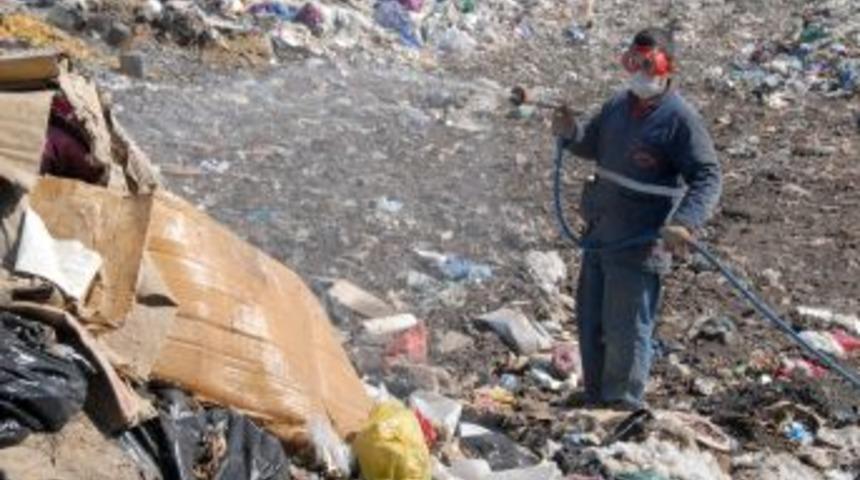 Karaman'da haşereyle m&uuml;cadele başladı