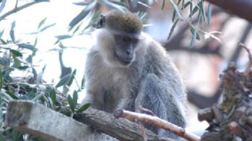 Mahalleyi birbirine kattı