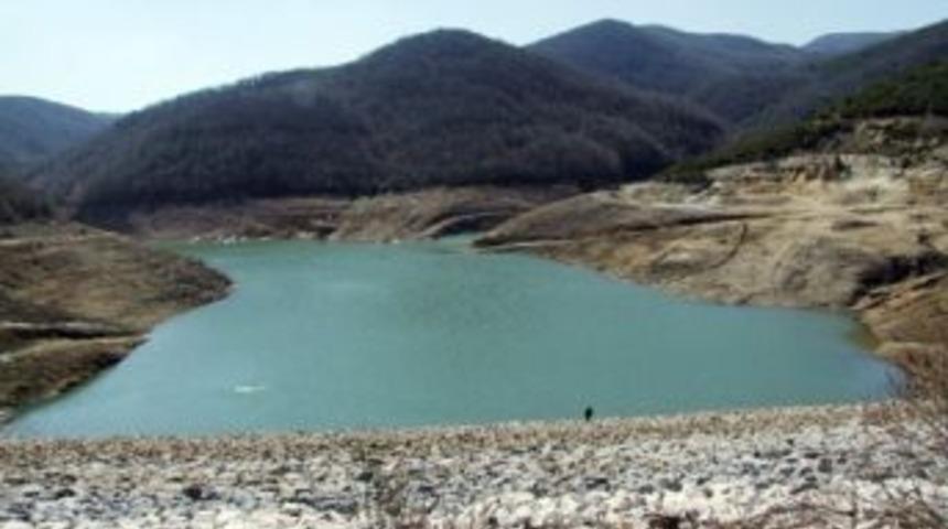 Y&uuml;z binlerce balık telef oldu