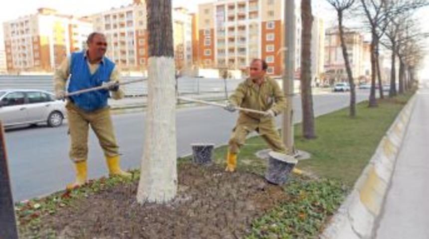 Beylikdüzü'nde Bahar Coşkusu