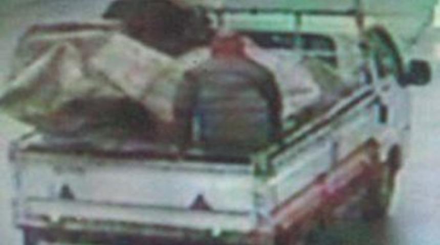 Belediyeyi Soyan Hırsızları Hayvan Fig&uuml;r&uuml; Yakalattı