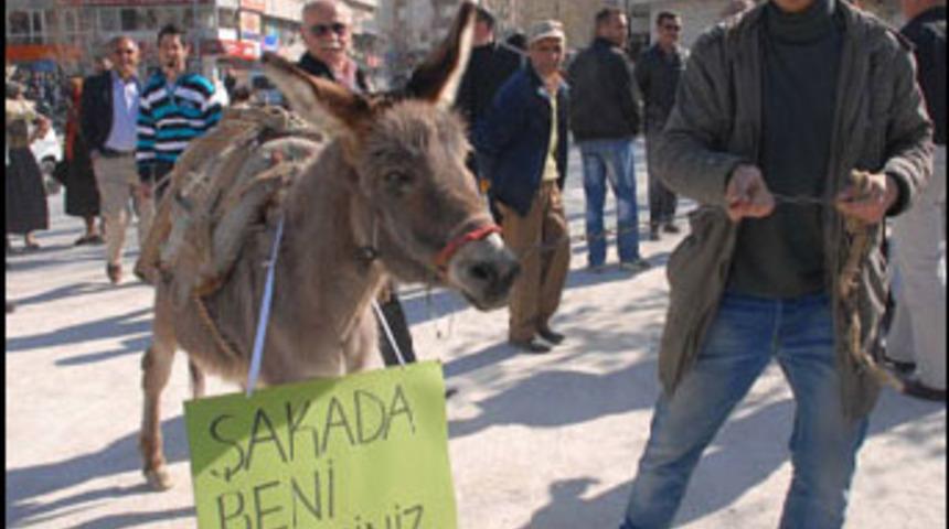 YGS ve LYS'ye eşekli protesto
