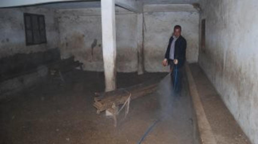 Kozan Belediyesi haşereyle m&uuml;cadele &ccedil;alışmalarını yoğunlaştırdı