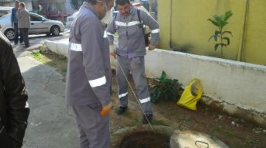 Antalya'da b&ouml;cekle m&uuml;cadele devam ediyor