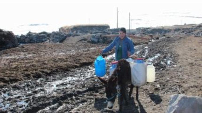 Eşek Sırtında Su Taşıyorlar