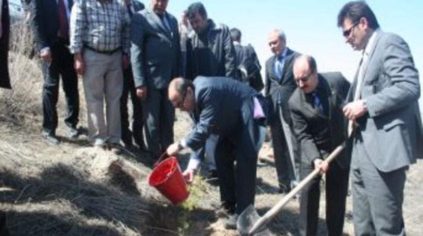 'Gazeteciler Hatıra Ormanı'na fidanlar dikildi