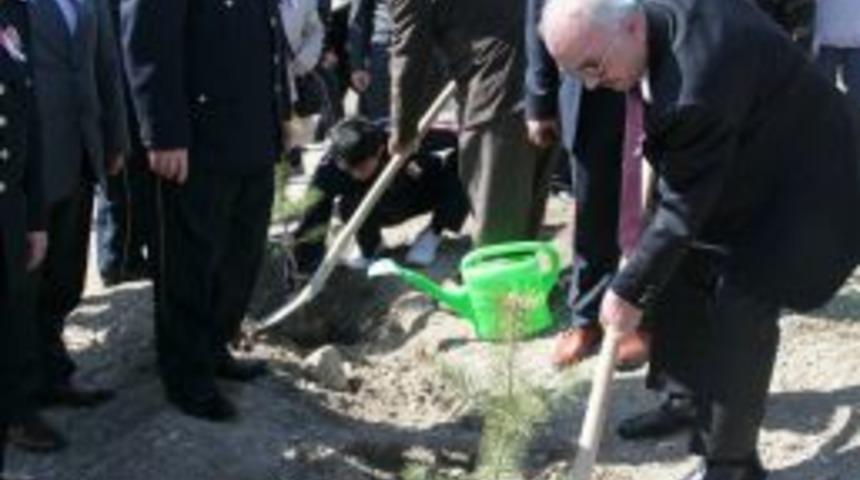 Polisler y&uuml;zlerce fidanı toprakla buluşturdu