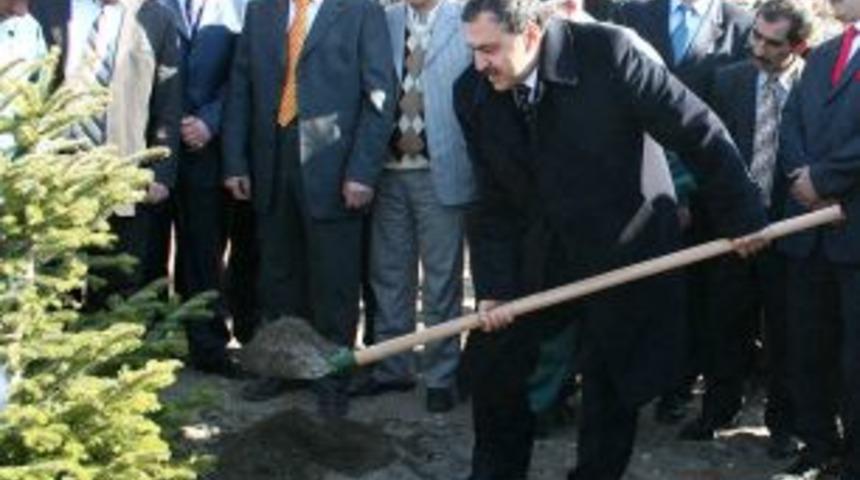 Ağa&ccedil;landırmada destan yazdık