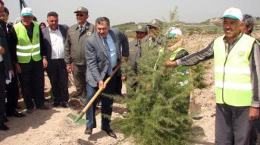 Bakan Eroğlu: Bu yıl i&ccedil;inde Trakya'dan b&uuml;y&uuml;k alanı ağa&ccedil;landıracağız