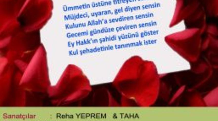 Bitlis'te, Kutlu Doğum hazırlığı