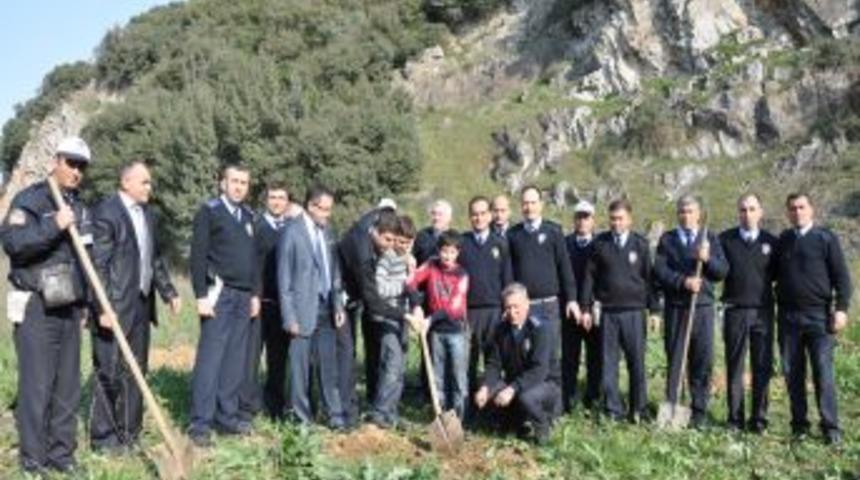Trafik polisleri meyve ağacı dikti