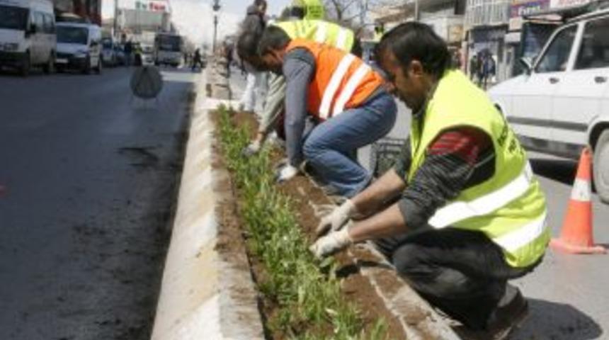 Erzincan &ccedil;i&ccedil;eklerle renkleniyor