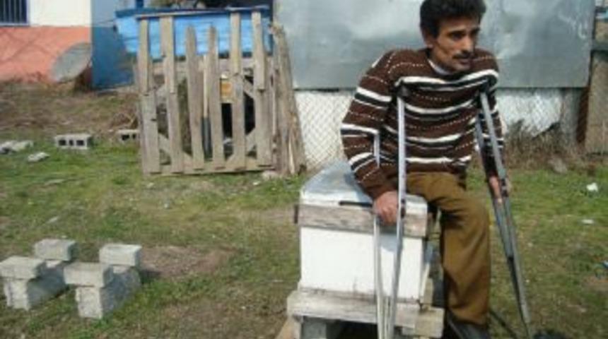 Engelli Arıcının Kovanlarını &Ccedil;aldılar