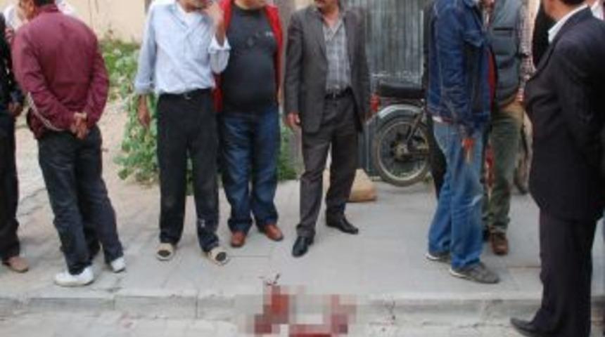 Liseler Arası Kros Yarışması