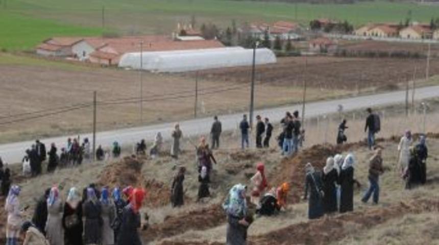 Kutlu Doğum kapsamında 1000 fidan toprakla buluştu