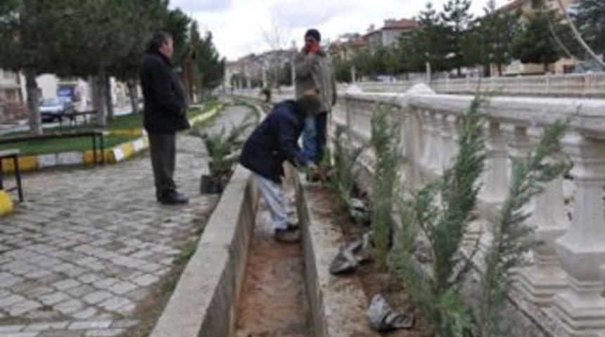 Yeşil alanlara mazı ve yayılıcı ardı&ccedil;