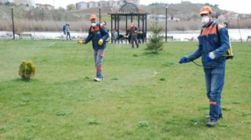 G&ouml;lbaşı'nda ila&ccedil;lama seferberliği