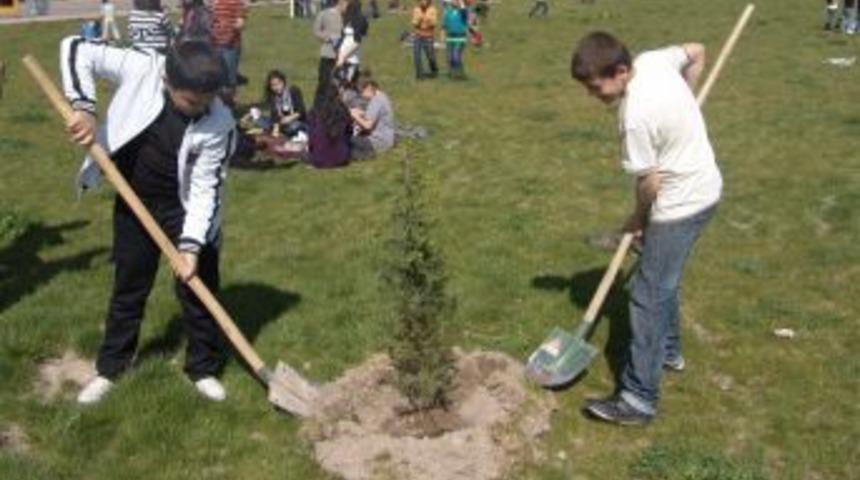 Kocasinan'da ağa&ccedil; seferberliği başladı