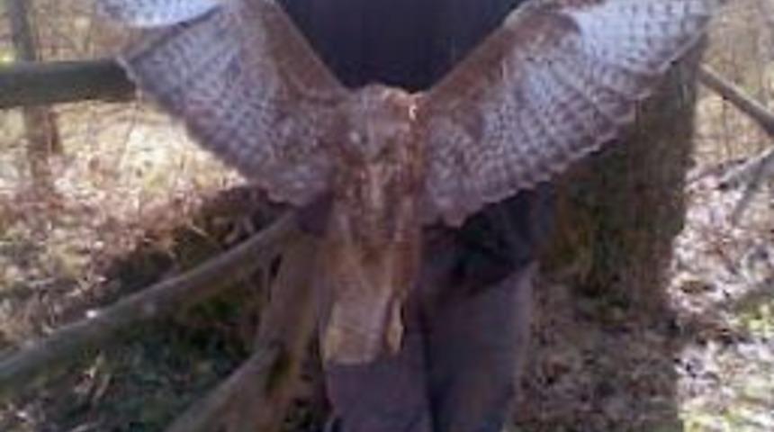 Yasak avladığı hayvanların fotoğrafını Faceebook'ta paylaşınca yakalandı