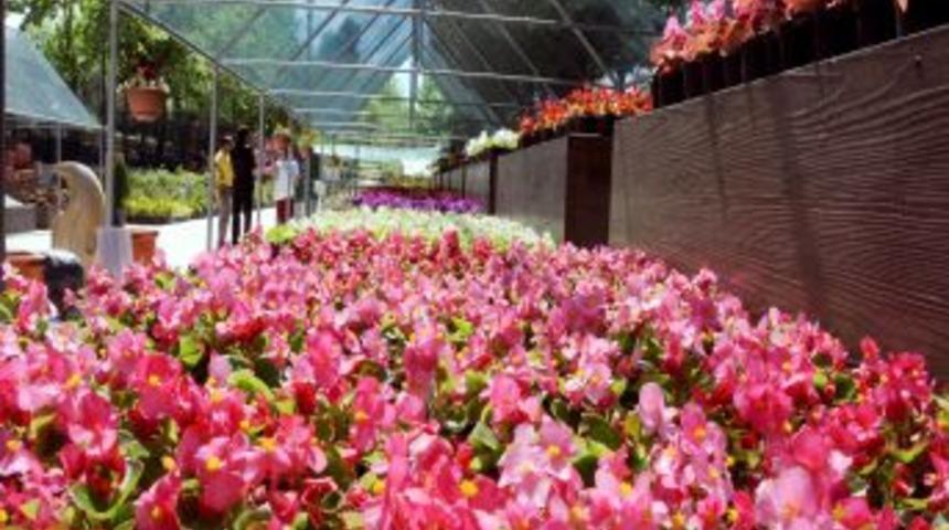 ANFA, &ccedil;i&ccedil;ek ve fidan satışlarına başladı