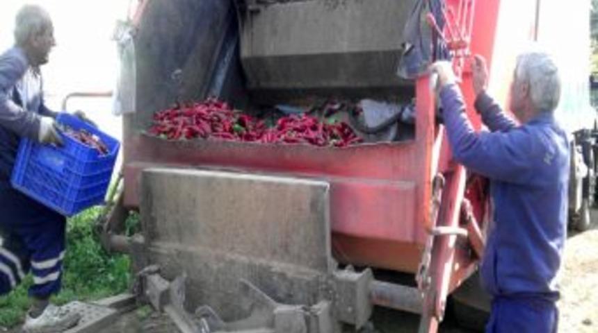 Yanlış ila&ccedil; kalıntısı tespit edilen 2 bin 270 kilo biber imha edildi