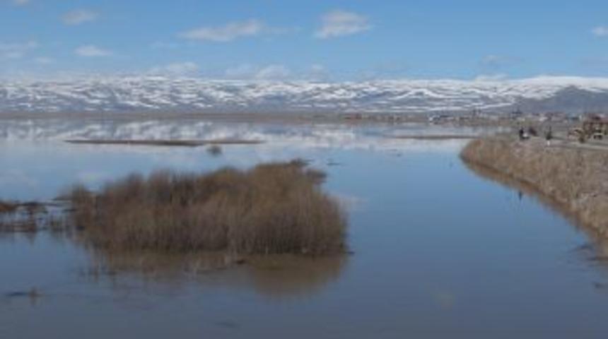 Kura Nehri taşınca Ardahan Ovası sular altında kaldı