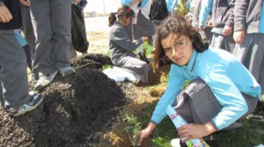 Samanyolu Koleji &ouml;ğrencileri, okul bah&ccedil;esine fidan dikti