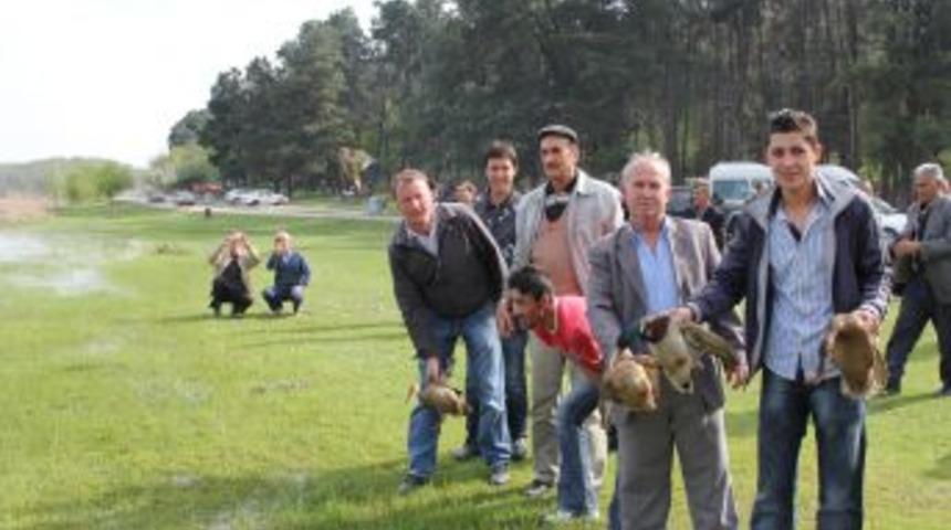 Avcıların Elinden Kurtarılan Yaban &Ouml;rdekleri Doğaya Salındı