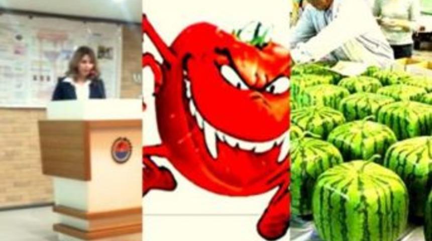 GDO&rsquo;lu &uuml;r&uuml;nler sağlığa zararlı mı?