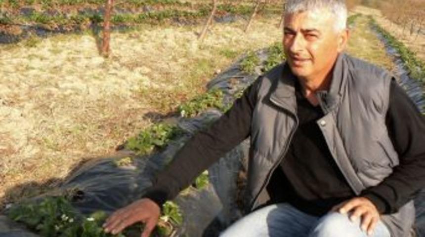 Enez&rsquo;de &ccedil;ift&ccedil;iler organik meyve &uuml;retimine y&ouml;neldi