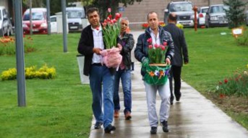 'En G&uuml;zel Laleyi Siz Yetiştirin' yarışmasına yoğun ilgi