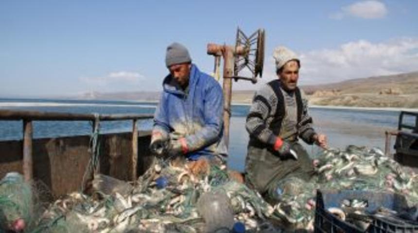 Van Gölü'nde inci kefali avlanma yasağı başladı