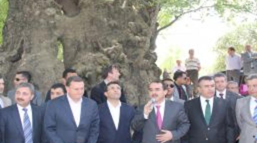 Bakan Ergin'den 28 Şubat Yorumu