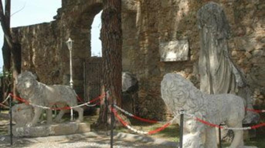 Side M&uuml;zesi&rsquo;nde arslan kardeşliği