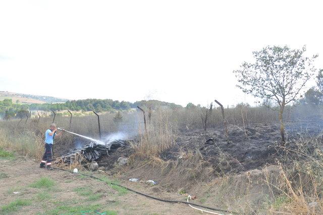 Malkara'da piknik alanında yangın