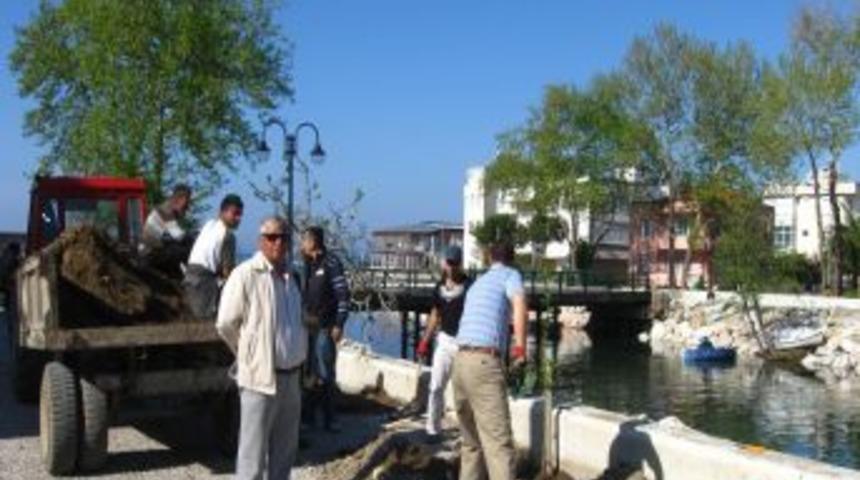 Altınoluk'ta Şahin Deresi ağa&ccedil;landırılıyor