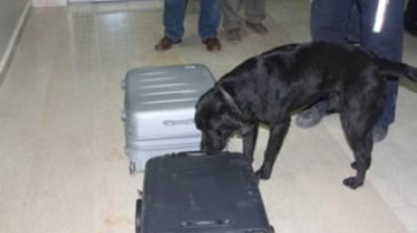 Emniyetten Uyuşturucu Operasyonu