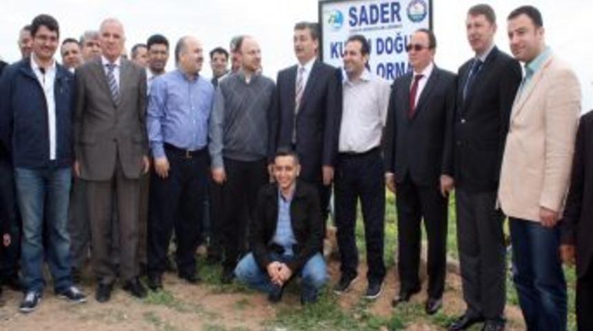 Sağlık&ccedil;ılar, Kutlu Doğum hatıra ormanı oluşturdu