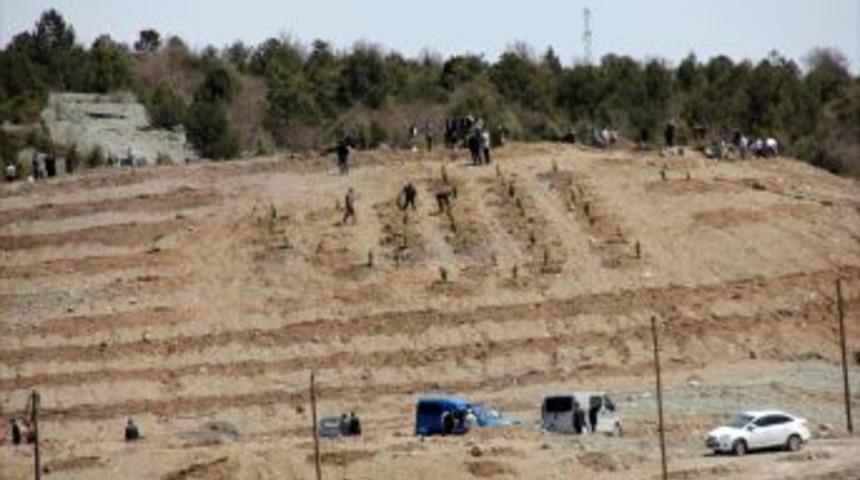 Ilgaz'da 'Sahabe Ormanı' oluşturuldu