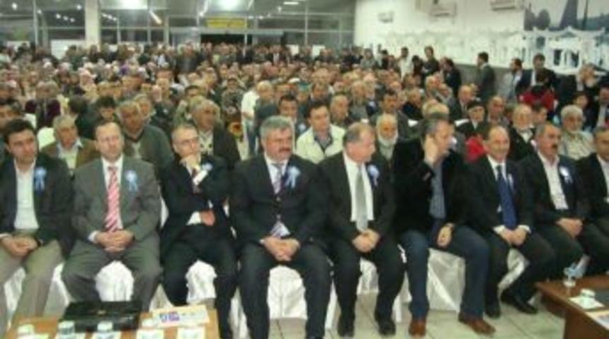 Alaplı'da Kutlu Doğum izdihamı