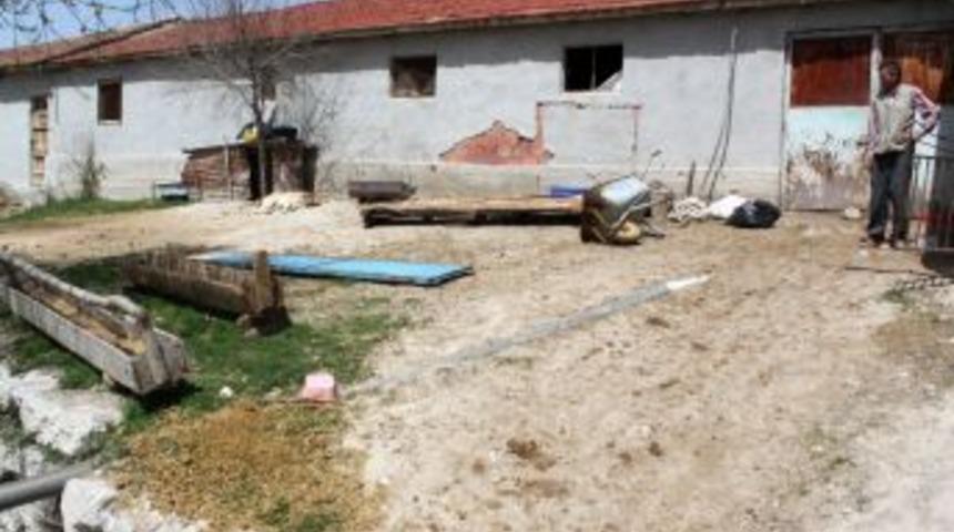 Hırsızlar koyunları &ccedil;aldı, kuzular anasız kaldı