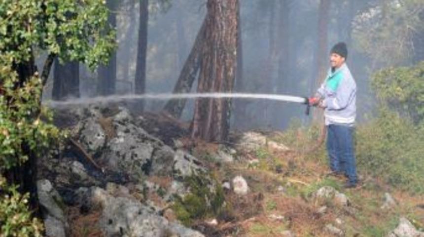 Fethiye'de &ccedil;ıkan orman yangınında 10 dekar alan yandı