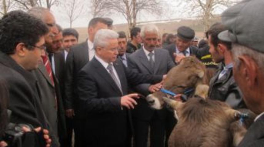 Kendi ge&ccedil;imini kendin sağla projesi