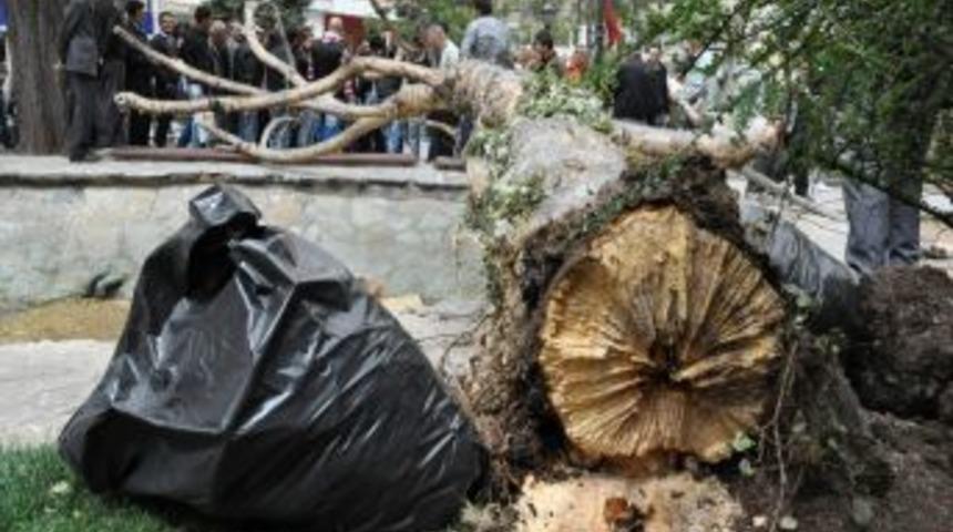 Eskişehir&rsquo;de kuvvetli lodos: 1 yaralı