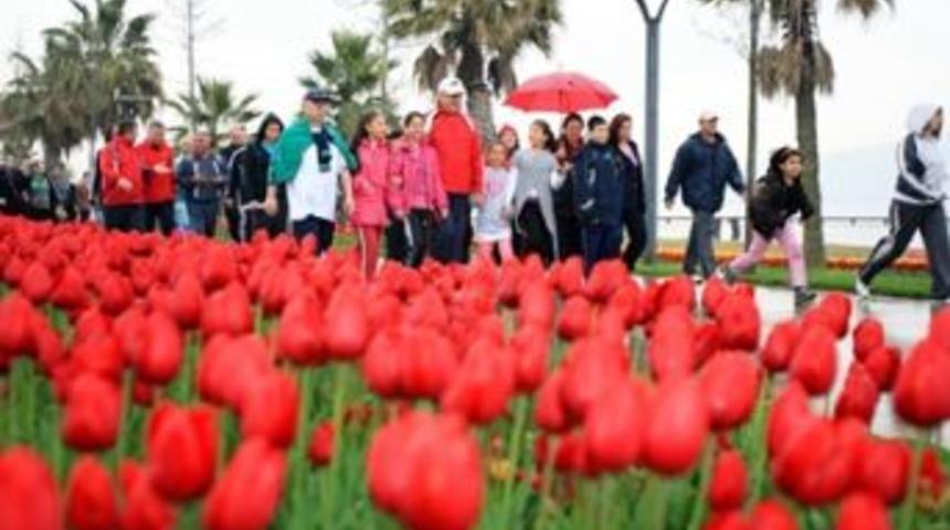 Sekapark&rsquo;ta laleler, Yuvacık&rsquo;ta a&ccedil;an &ccedil;i&ccedil;ekler