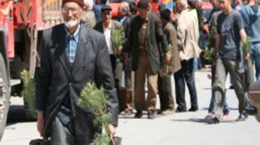 Hacılar'da 5 bin fidan toprakla buluşacak