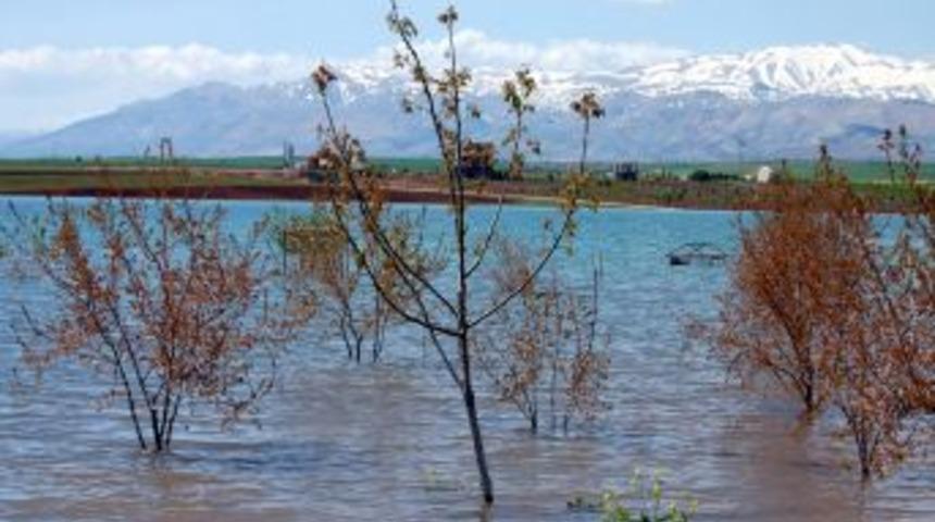 Adıyamen'da Aşırı Yağışlar Arazileri Sular Altında Bıraktı